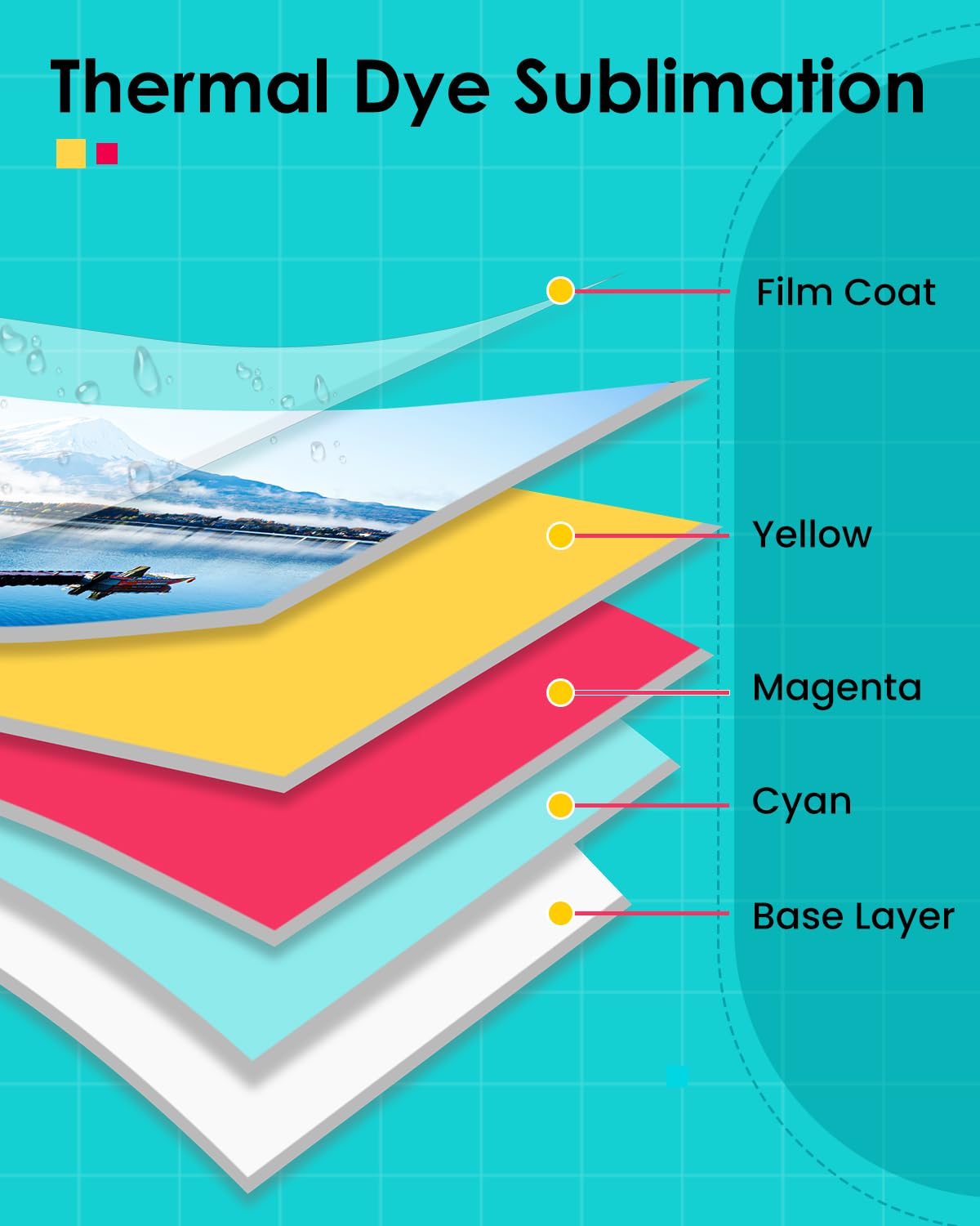 خرطوشة ورق صور LP-80 متوافقة م - مراجعة Solvent Printer Ink وسعره